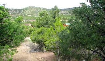 176 E Valley View Rd, Central, UT 84722