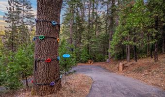 2729 Mokelumne Rd, Arnold, CA 95223