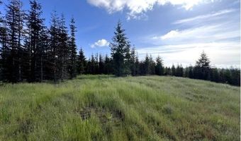 NW LODGE Rd, Banks, OR 97106