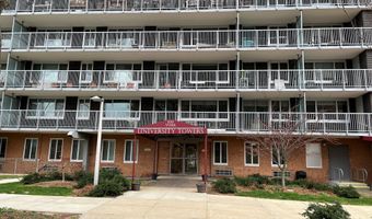 100 York St 11-D, New Haven, CT 06511