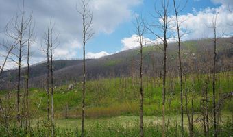 30 Sheep Horn Ct, Bellvue, CO 80512