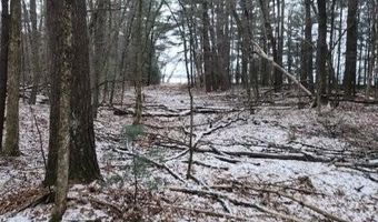 19 Th Pass Lot 19, Arkdale, WI 54613