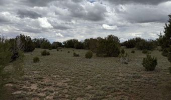 214 CR 8051, Concho, AZ 85924