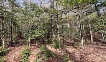Morris Creek Road lot 2, Andrews, NC 28901
