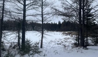 9606 Munger Rd, Afton, MI 49705