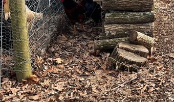 1383 HogBack Rd, Albany, KY 42602