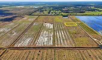 NORTH RIVER ROAD, Alva, FL 33920