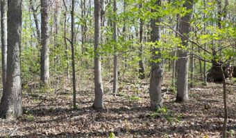 0003 S Plainview Rd, Anderson, MO 64831