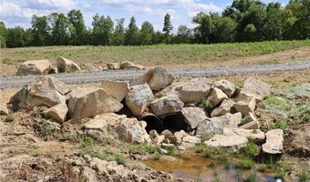 Diana Mill Road, Arvonia, VA 23004