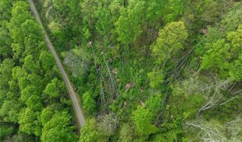 Jacks Knob Road 49, Barnardsville, NC 28709