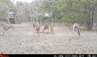 428665 E 1920 Rd, Antlers, OK 74523