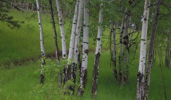 TBD Old Flowers Road, Bellvue, CO 80512