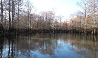 Pushepatapa Cut Off Rd, Bogalusa, LA 70427