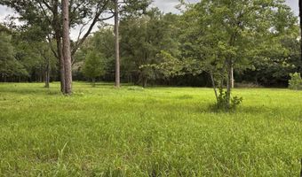 10901 Hall Dr, Axis, AL 36505