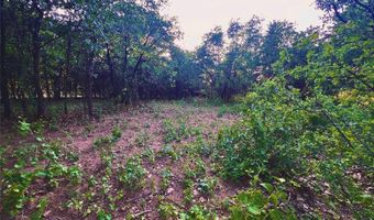 Tbd County Road 335, Anson, TX 79501