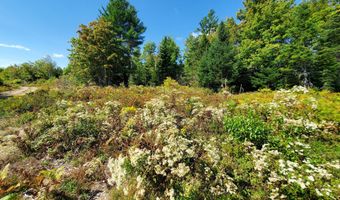 W McMann & Porcupine Hill Road lot 3, Addison, ME 04606