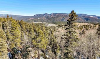 45 And 46 Sacramento Dr, Angel Fire, NM 87710