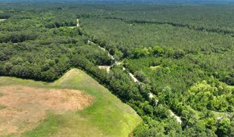 Rooks Road, Atkinson, NC 28421