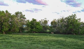 226 Chalk Buttes Rd, Douglas, WY 82633