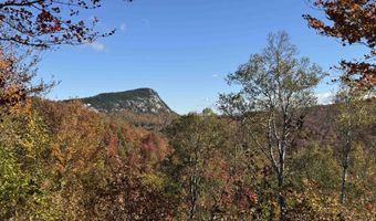 915 Wheeler Mountain Rd, Barton, VT 05822