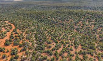 918 Wolf Rd, Ash Fork, AZ 86320