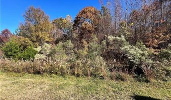 0 Hughes Farm Rd, Archdale, NC 27263