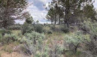 Lot 300 Hwy 140, Beatty, OR 97621