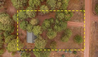24 Co Rd 2065, Alpine, AZ 85920