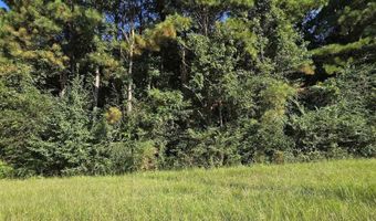 77 Acres Main St, Altoona, AL 35952