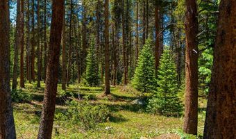 277 Wagon Rd, Breckenridge, CO 80424