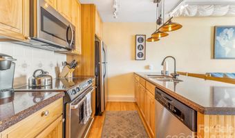 35 Patton Ave 302, Asheville, NC 28801