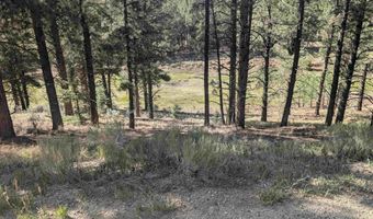 Valle Grande Trail, Angel Fire, NM 87710