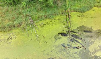 6974 WOODLAND Ln, Amherst, WI 54406