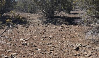 30 County Rd, Concho, AZ 85924