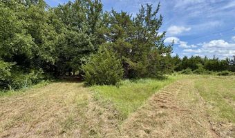100 Rolling Hills Blvd, Alvord, TX 76225