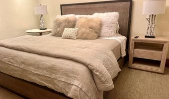 1395 Snowbunny Ln, Aspen, CO 81611