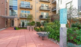 3301 Arapahoe Ave 209, Boulder, CO 80303