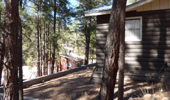 14 16 N CR 2057, Alpine, AZ 85920