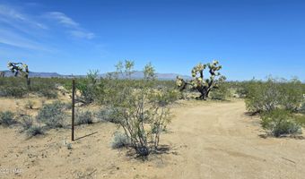 5558 E Red Barrel Rd, Yucca, AZ 86438