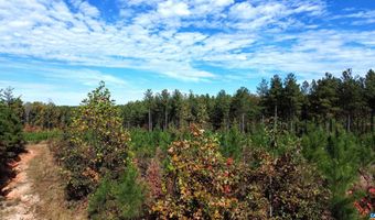 TBA RIDGE RD 1, Arvonia, VA 23004