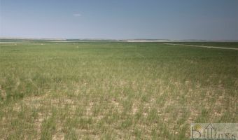 Tbd Winter Wheat Way, Broadview, MT 59015