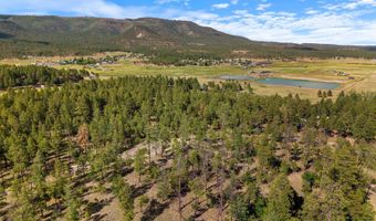 CR 2193, Alpine, AZ 85920