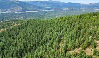 NNA USFS 2550 40 acres, Blanchard, ID 83804