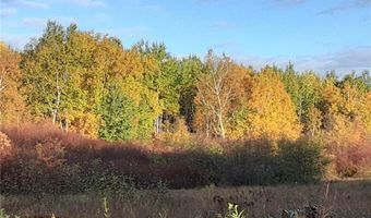 31538 County 23, Akeley, MN 56433