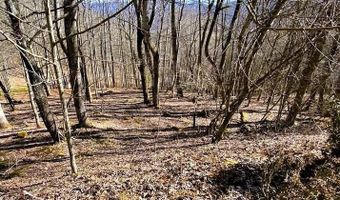 Lot 31 LarkSpur Trail, Banner Elk, NC 28604