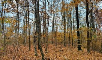 HWY 9, Bruce, MS 38915