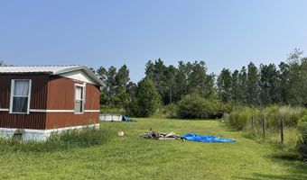 144 Red River Ln, Alma, GA 31510
