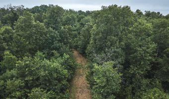 1569 Spider K Rd, Anderson, MO 64831