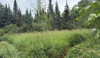 xxx Benson Rd, Alborn, MN 55702