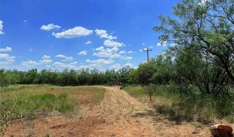 12415 County Road 356, Anson, TX 79501
